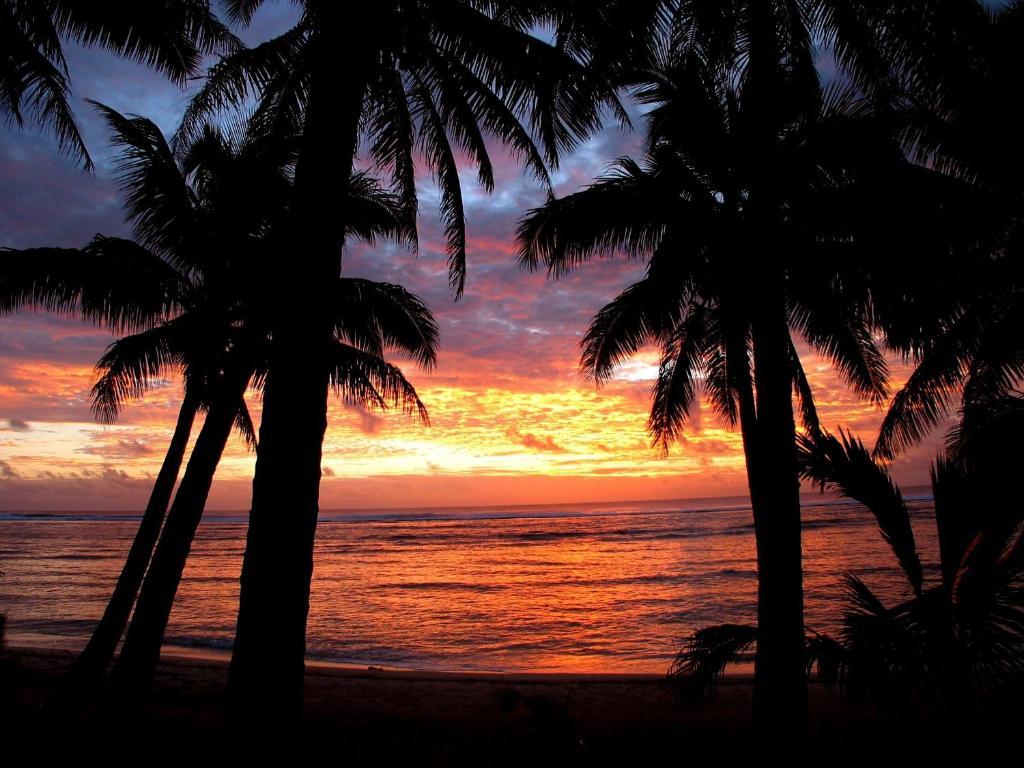 Sunhaven Beach Bungalows (Adults Only) Rarotonga Eksteriør bilde