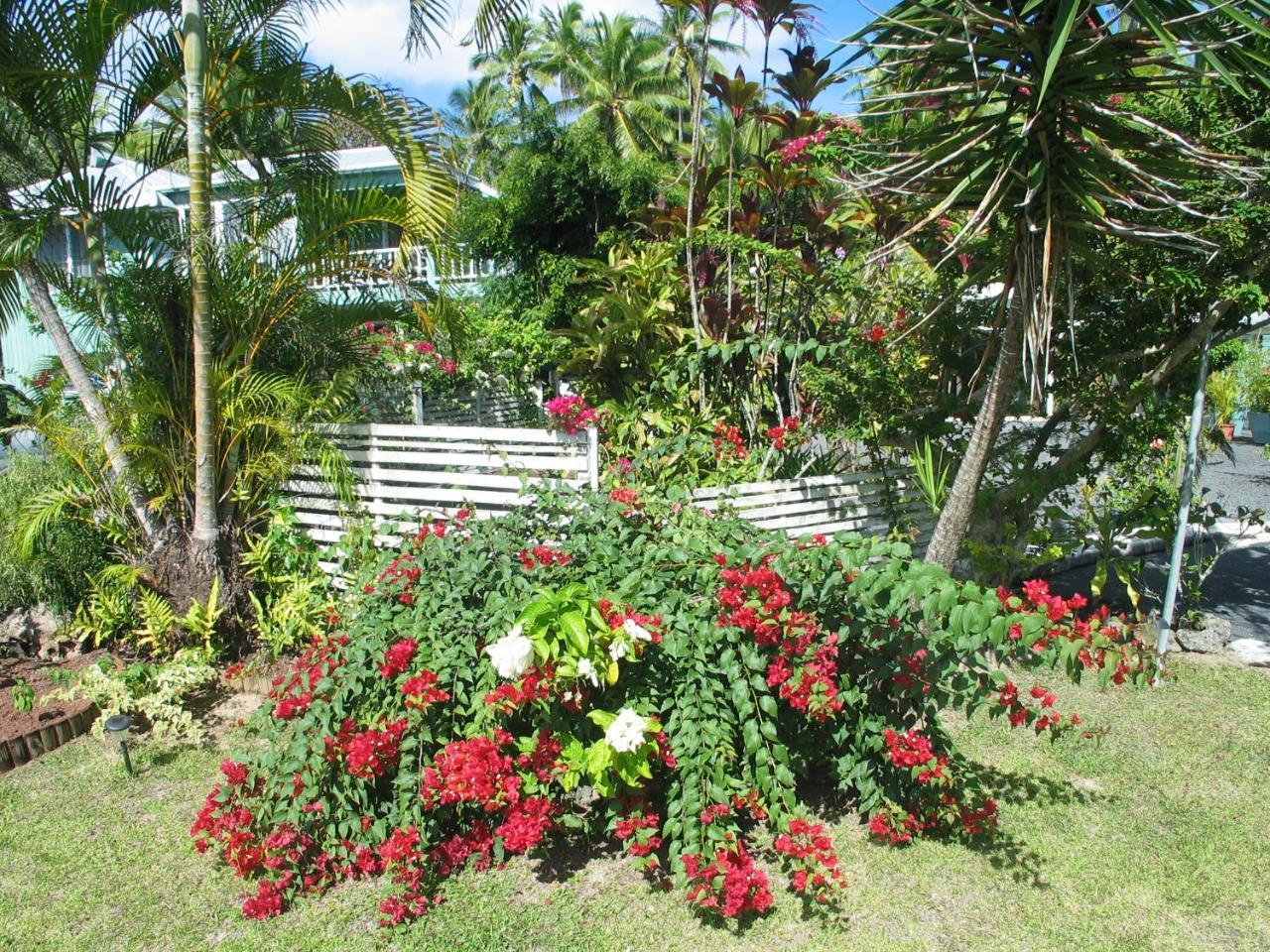 Sunhaven Beach Bungalows (Adults Only) Rarotonga Eksteriør bilde